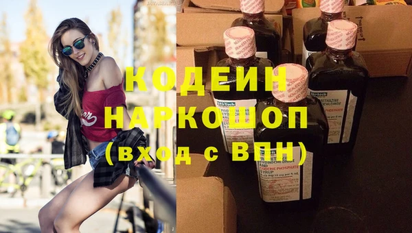 соль ск Артём