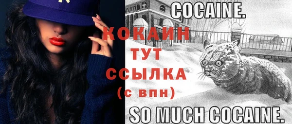 МДПВ Пестово