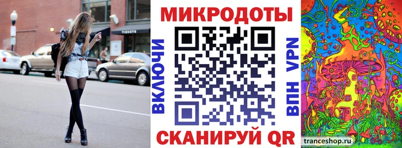 Галлюциногенные грибы Psilocybine cubensis  Таштагол 